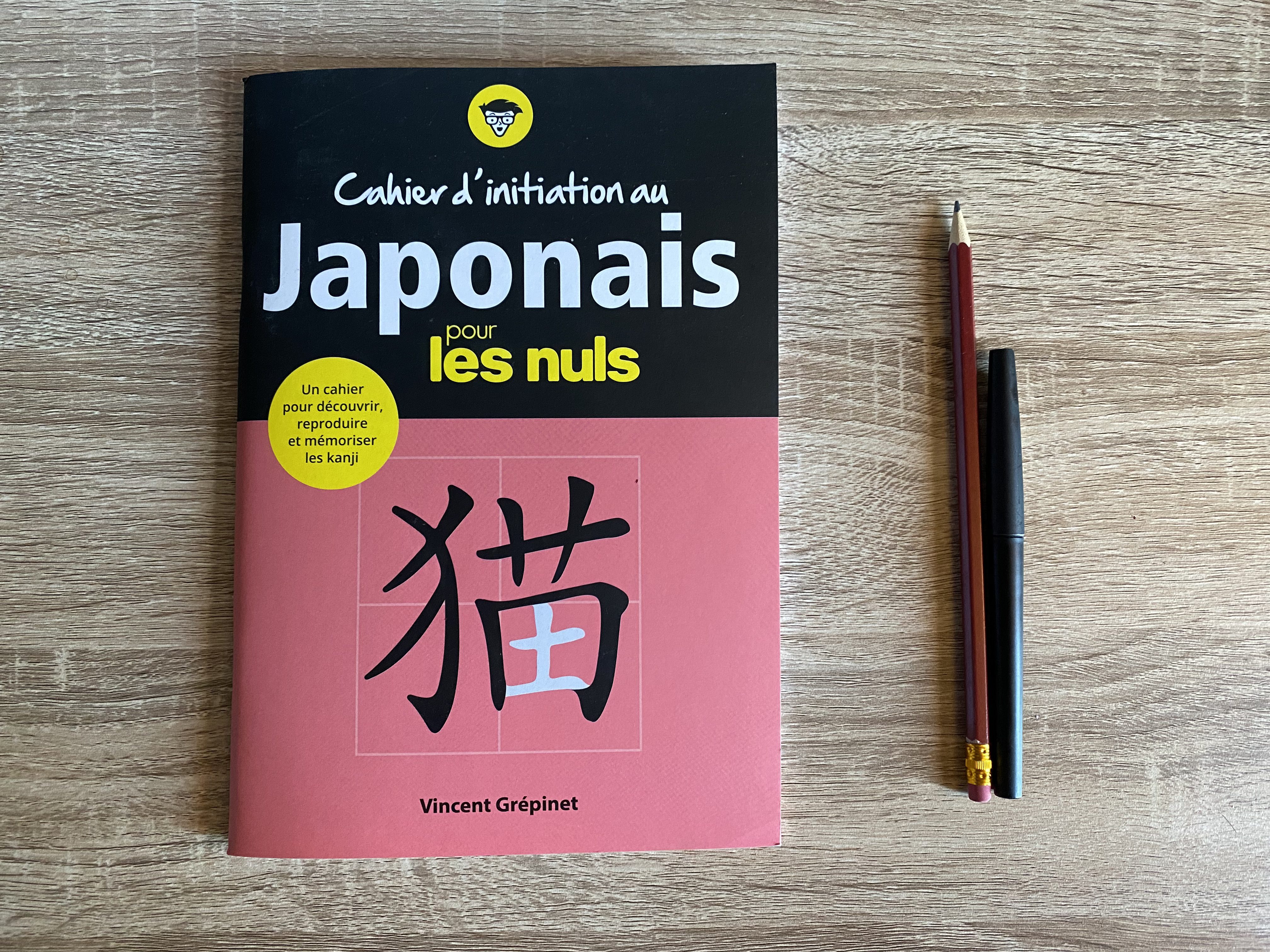 Cahier d&rsquo;initiation au japonais pour les Nuls : un bon support ?