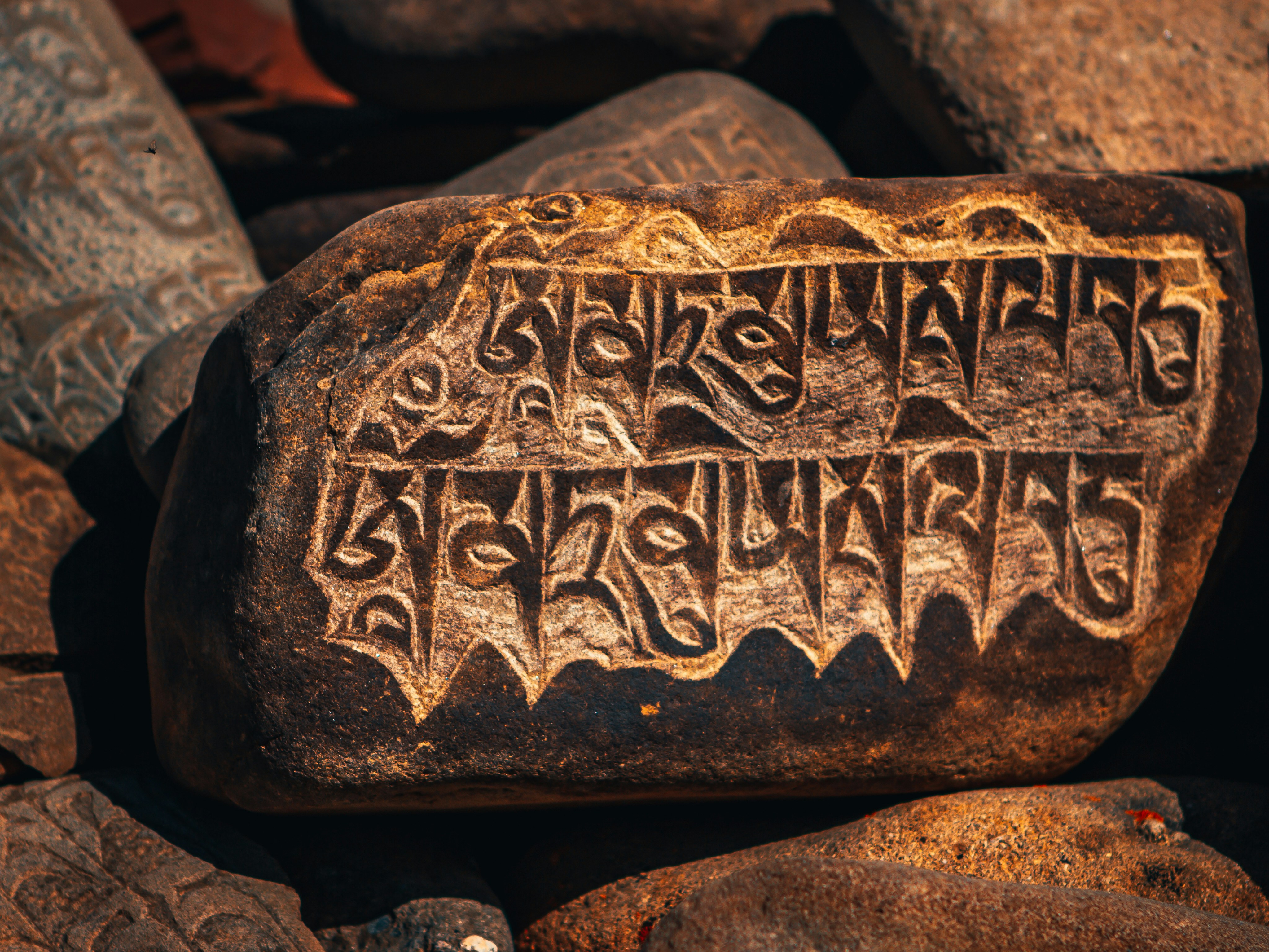 Tout savoir sur les langues autochtones en 2 minutes